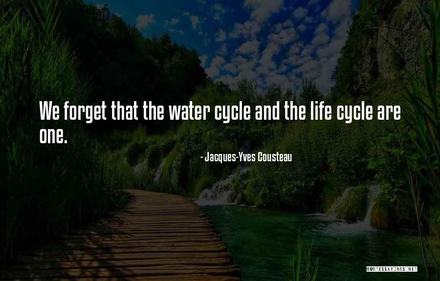 Jacques-Yves Cousteau Quotes 1733740