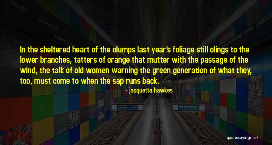 Jacquetta Hawkes Quotes 1779386