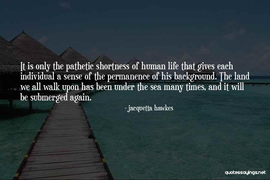 Jacquetta Hawkes Quotes 1816197