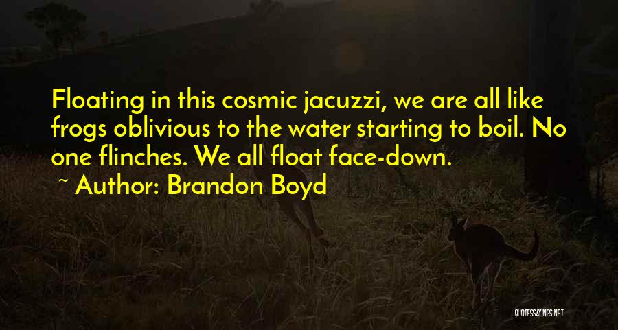 Jacuzzi Quotes By Brandon Boyd