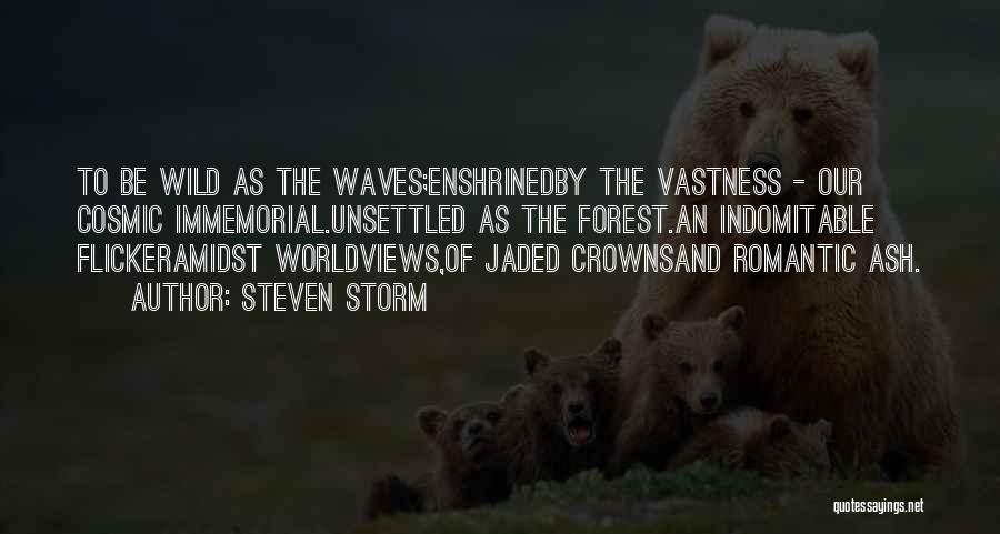 Jaded-heart Quotes By Steven Storm