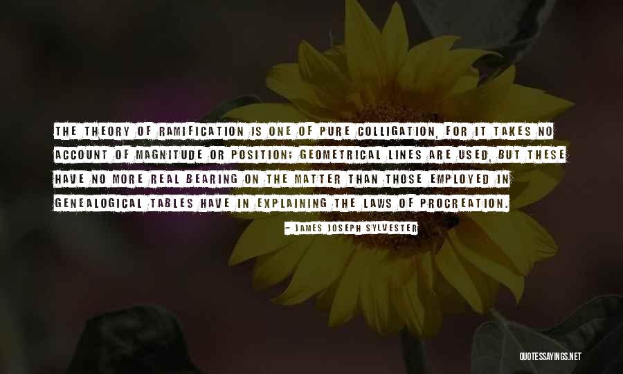 Jadyn Douglas Quotes By James Joseph Sylvester Jadyn Douglas Quotes By James Joseph Sylvester