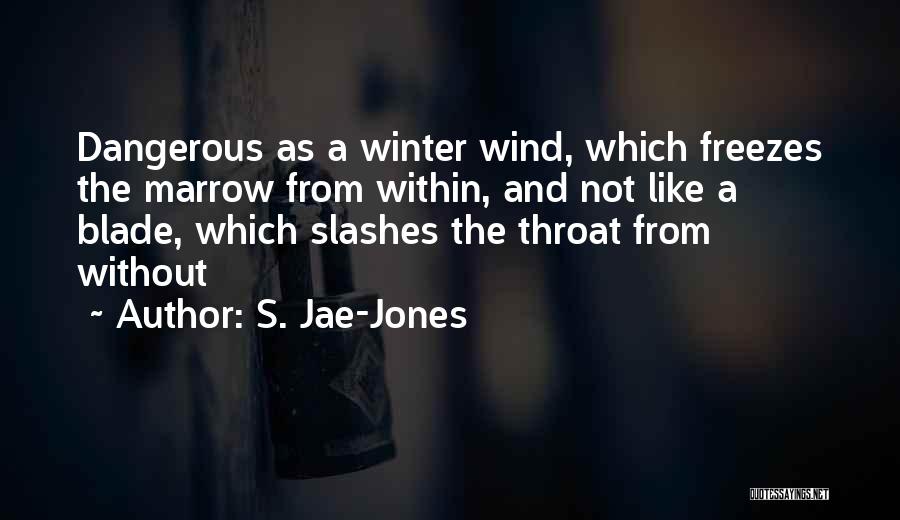 Jae-p Quotes By S. Jae-Jones