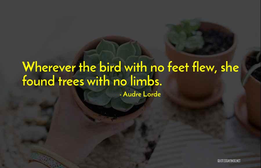 Jafarian Nazanin Quotes By Audre Lorde Jafarian Nazanin Quotes By Audre Lorde