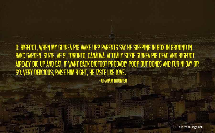 Jaffet Rosado Quotes By Graham Roumieu Jaffet Rosado Quotes By Graham Roumieu