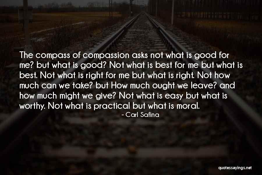 Jaffray Bc Quotes By Carl Safina Jaffray Bc Quotes By Carl Safina