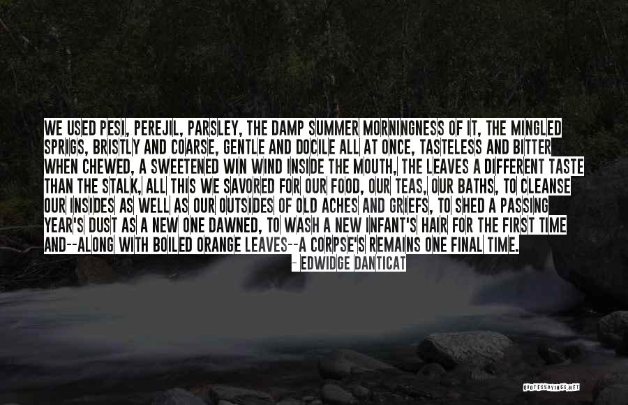 Jagarico Quotes By Edwidge Danticat Jagarico Quotes By Edwidge Danticat
