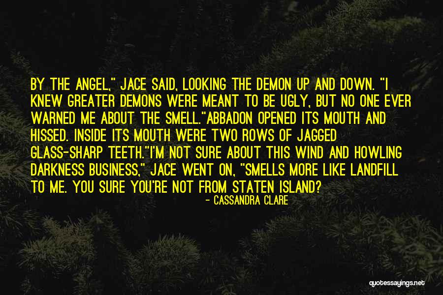 Jagged Quotes By Cassandra Clare