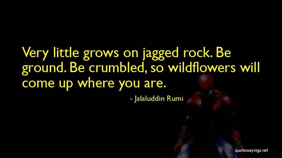 Jagged Quotes By Jalaluddin Rumi