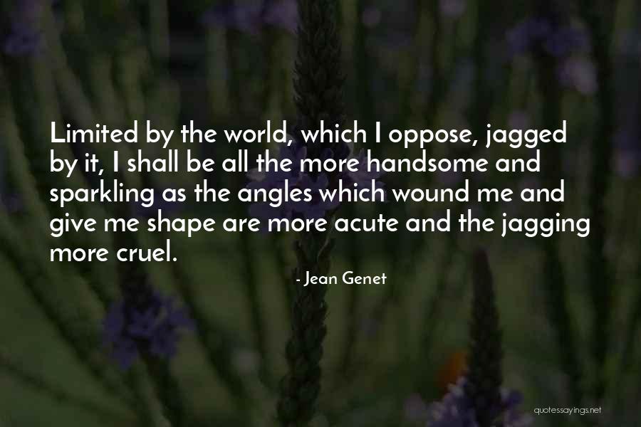 Jagged Quotes By Jean Genet