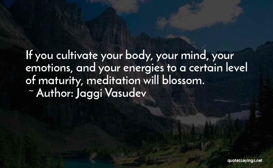 Jaggi Vasudev Quotes 1977982