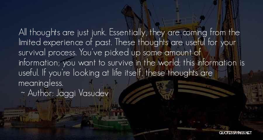 Jaggi Vasudev Quotes 2065098