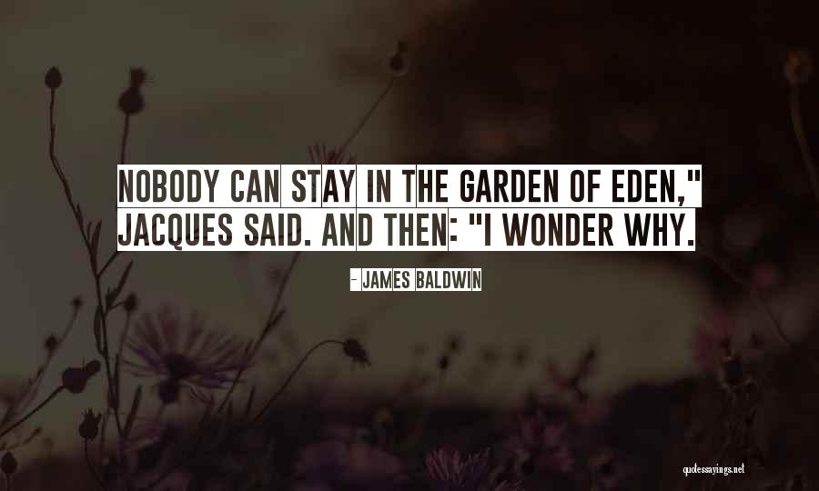 Jagirdar Actor Quotes By James Baldwin Jagirdar Actor Quotes By James Baldwin