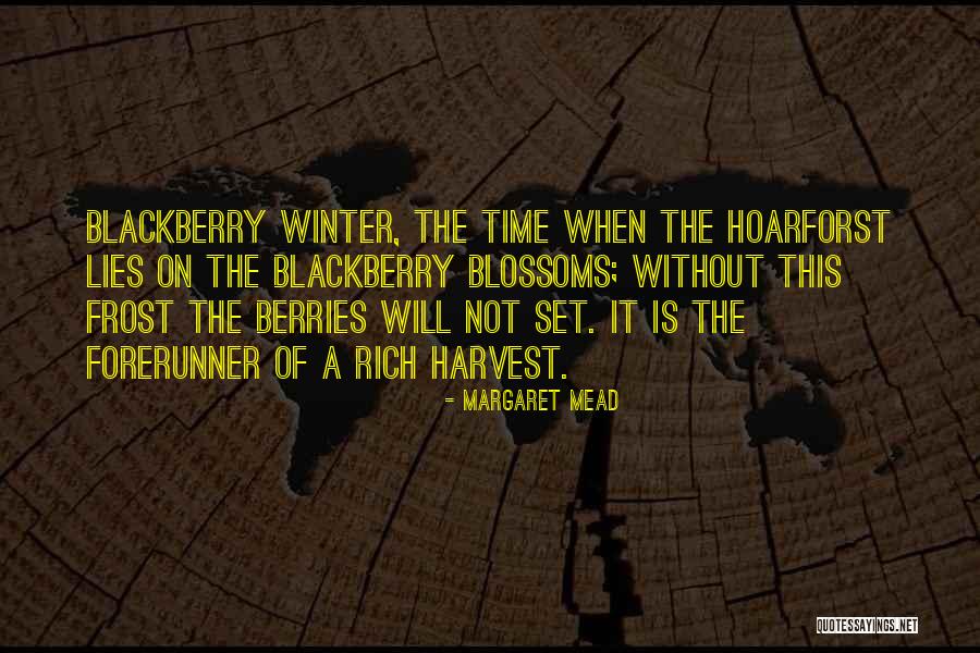Jagobangladesh Quotes By Margaret Mead Jagobangladesh Quotes By Margaret Mead