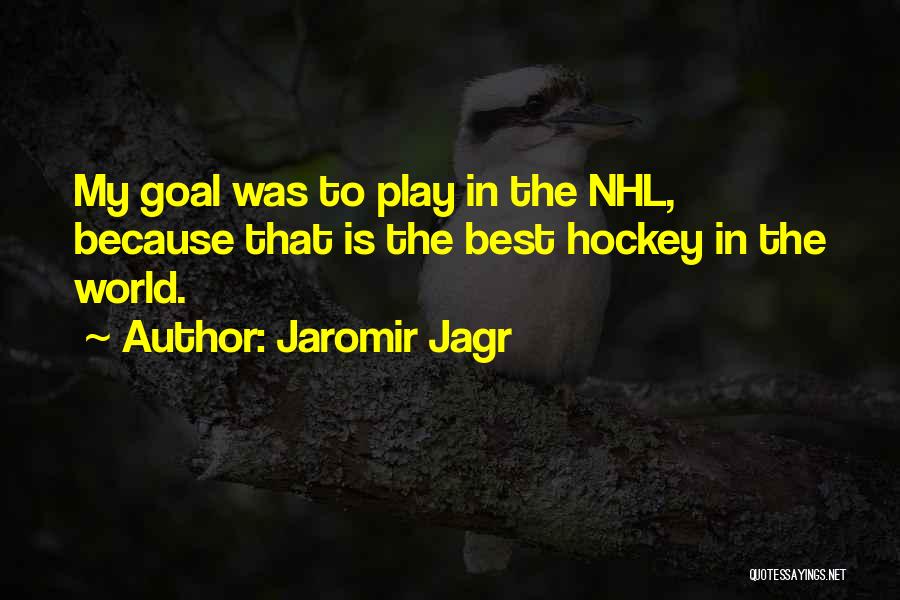 Jagr Quotes By Jaromir Jagr