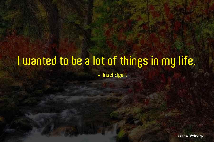 Jahanara Alam Quotes By Ansel Elgort Jahanara Alam Quotes By Ansel Elgort