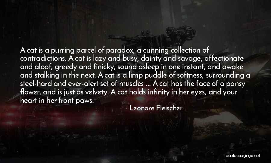Jahim Auto Quotes By Leonore Fleischer Jahim Auto Quotes By Leonore Fleischer