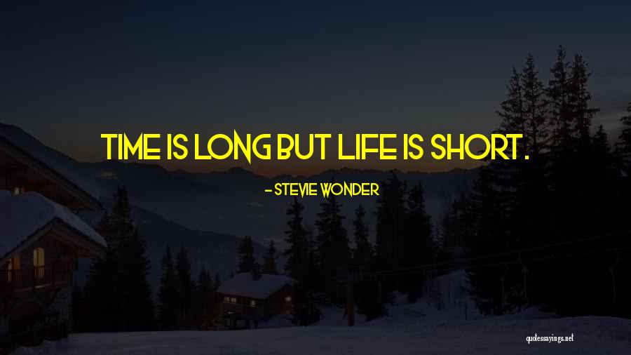 Jahnava Devi Quotes By Stevie Wonder