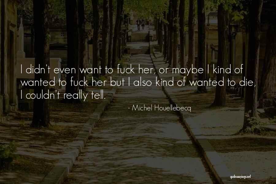 Jahnke Heating Quotes By Michel Houellebecq Jahnke Heating Quotes By Michel Houellebecq