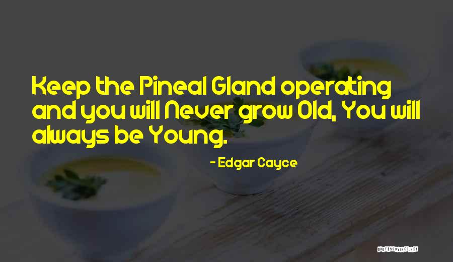 Jaibol Quotes By Edgar Cayce Jaibol Quotes By Edgar Cayce