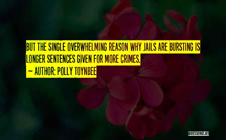 Jails Quotes By Polly Toynbee