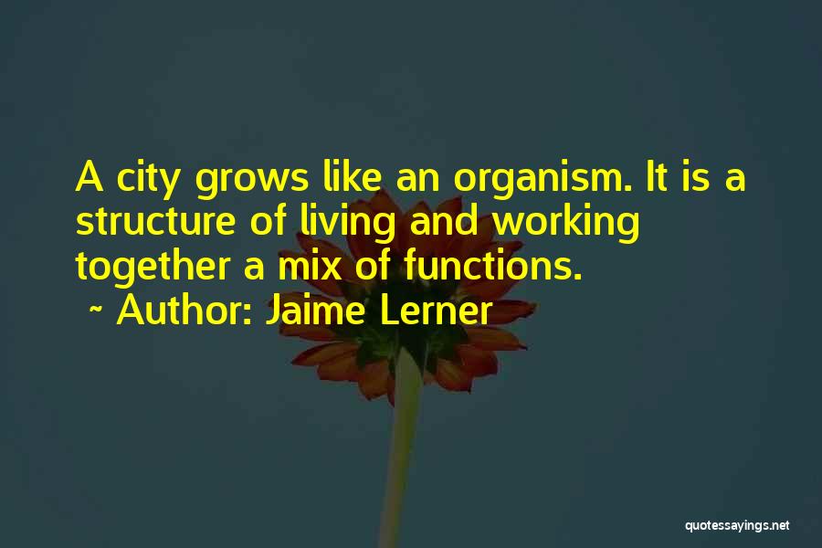Jaime Lerner Quotes 1245029