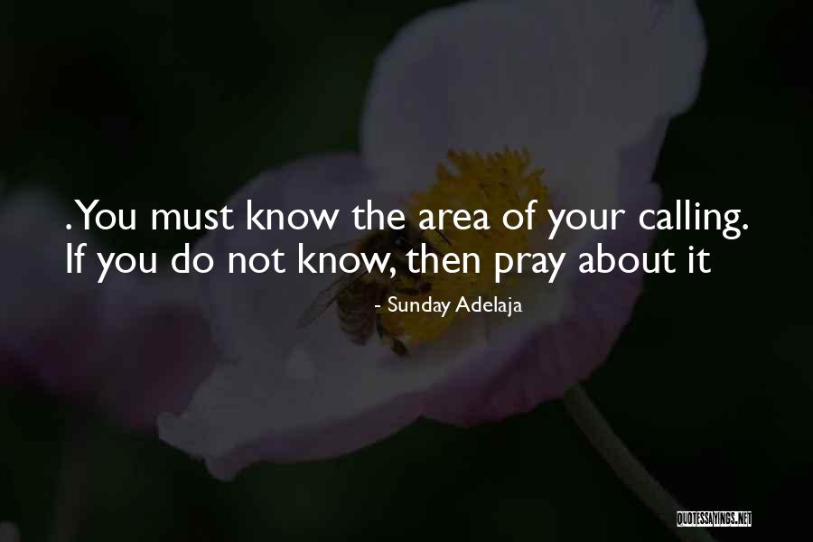 Jaimez Solorio Quotes By Sunday Adelaja Jaimez Solorio Quotes By Sunday Adelaja