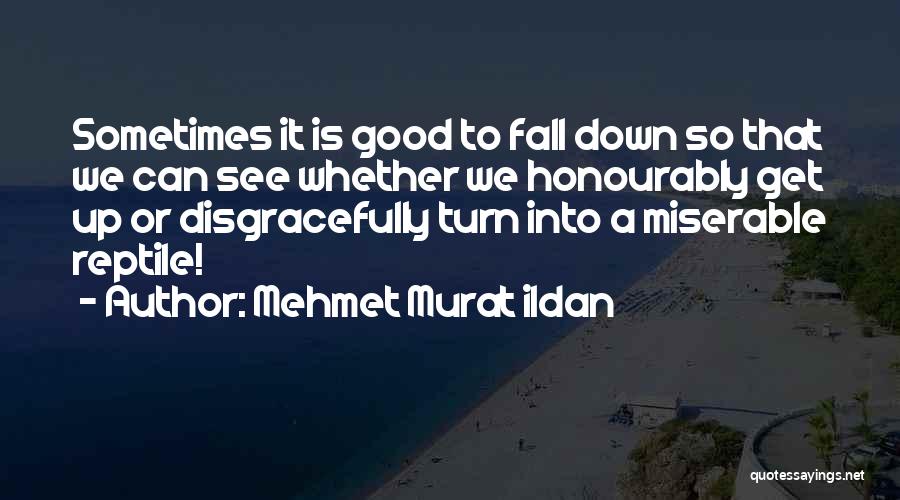 Jaimini Astrology Quotes By Mehmet Murat Ildan