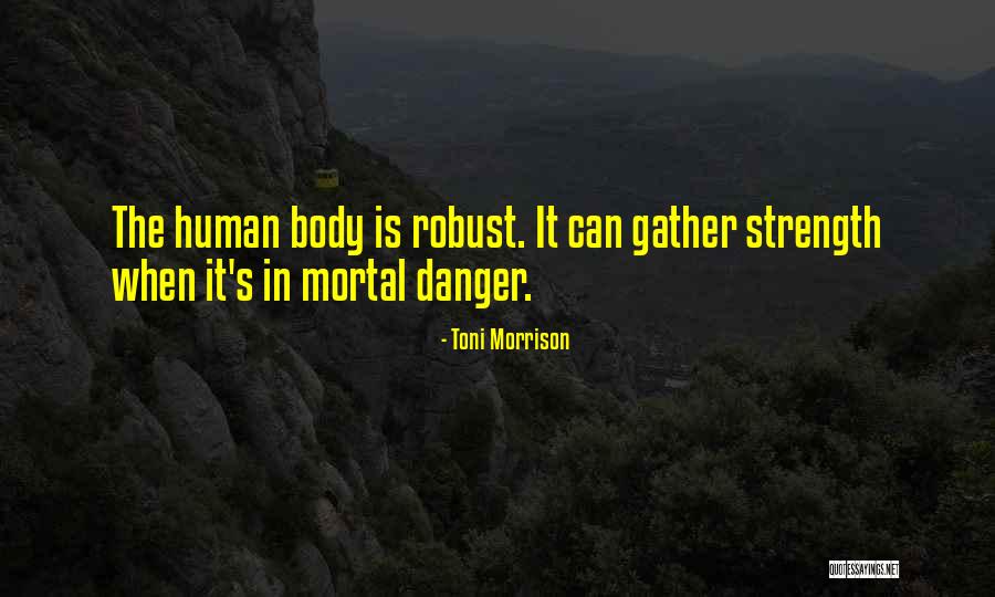 Jaione Osborne Quotes By Toni Morrison Jaione Osborne Quotes By Toni Morrison