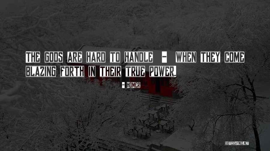 Jaishankar Quotes By Homer Jaishankar Quotes By Homer