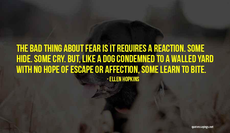 Jaishree Stephenson Quotes By Ellen Hopkins Jaishree Stephenson Quotes By Ellen Hopkins