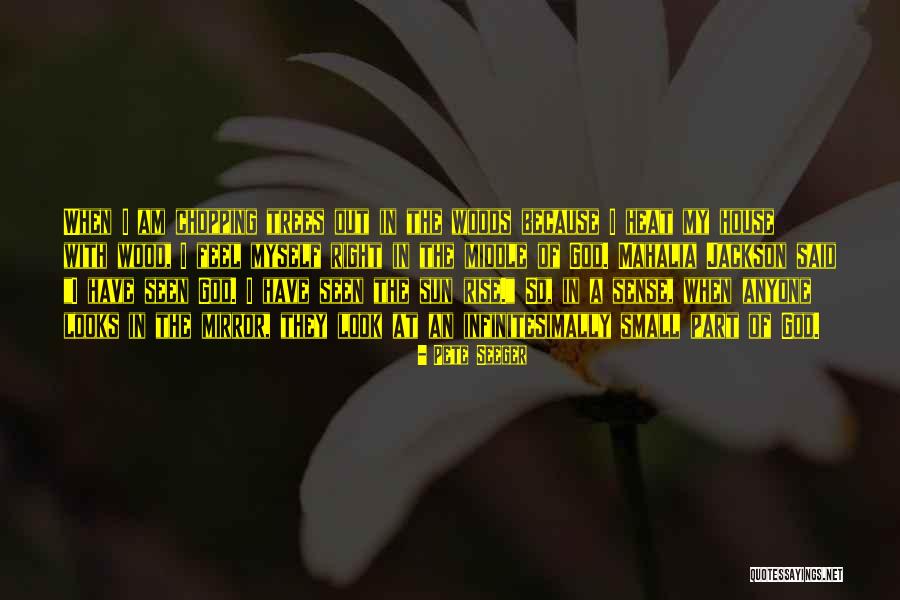 Jaison Williams Quotes By Pete Seeger Jaison Williams Quotes By Pete Seeger