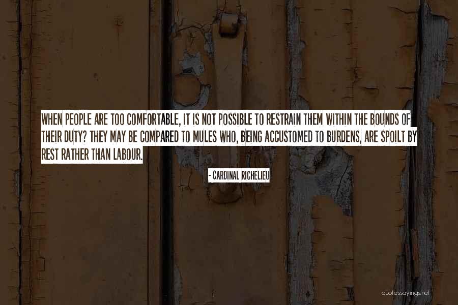 Jaitley 2015 Quotes By Cardinal Richelieu Jaitley 2015 Quotes By Cardinal Richelieu