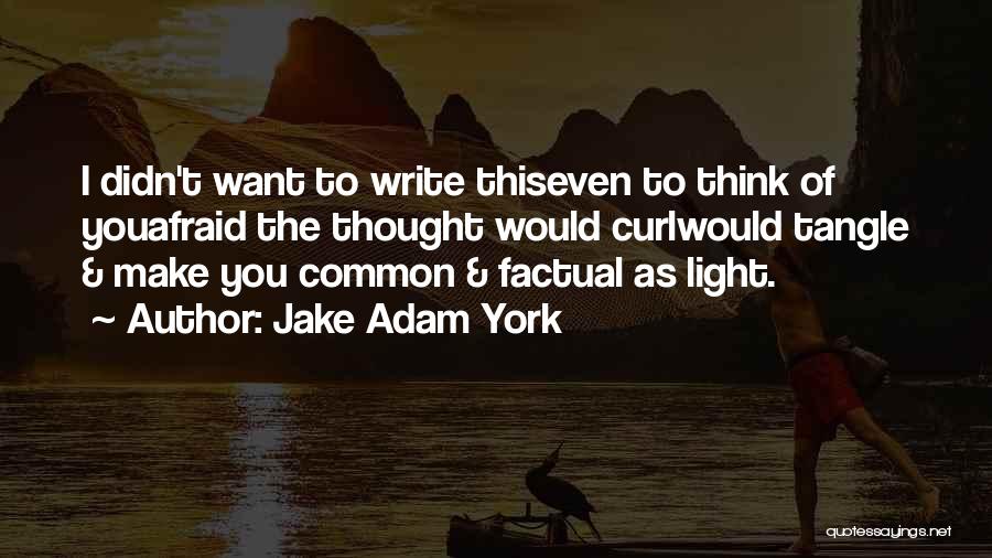 Jake Adam York Quotes 947324