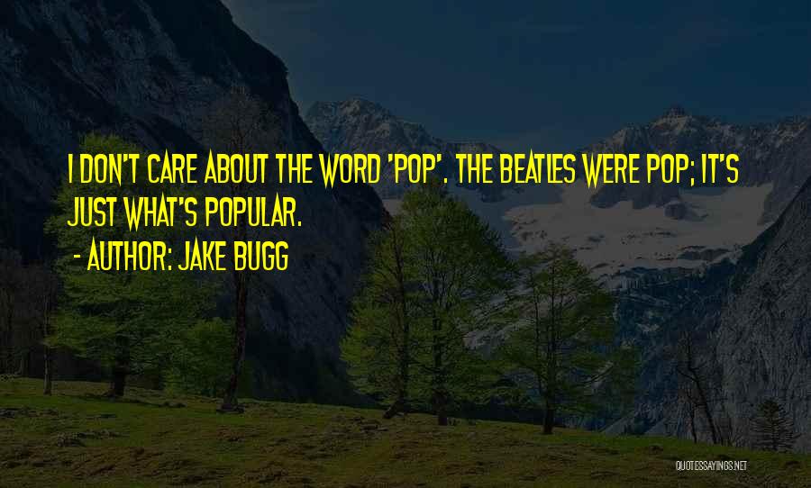 Jake Bugg Quotes 2135438
