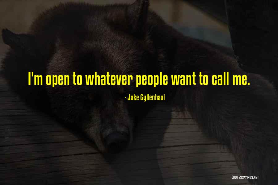 Jake Gyllenhaal Quotes 1069444 Jake Gyllenhaal Quotes 1069444