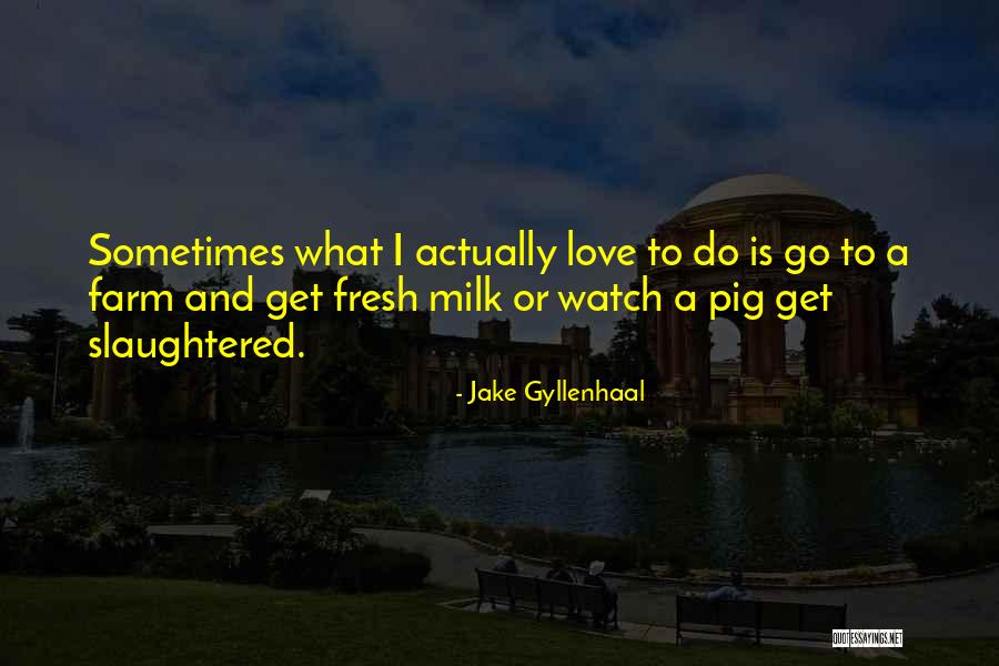 Jake Gyllenhaal Quotes 1304920 Jake Gyllenhaal Quotes 1304920