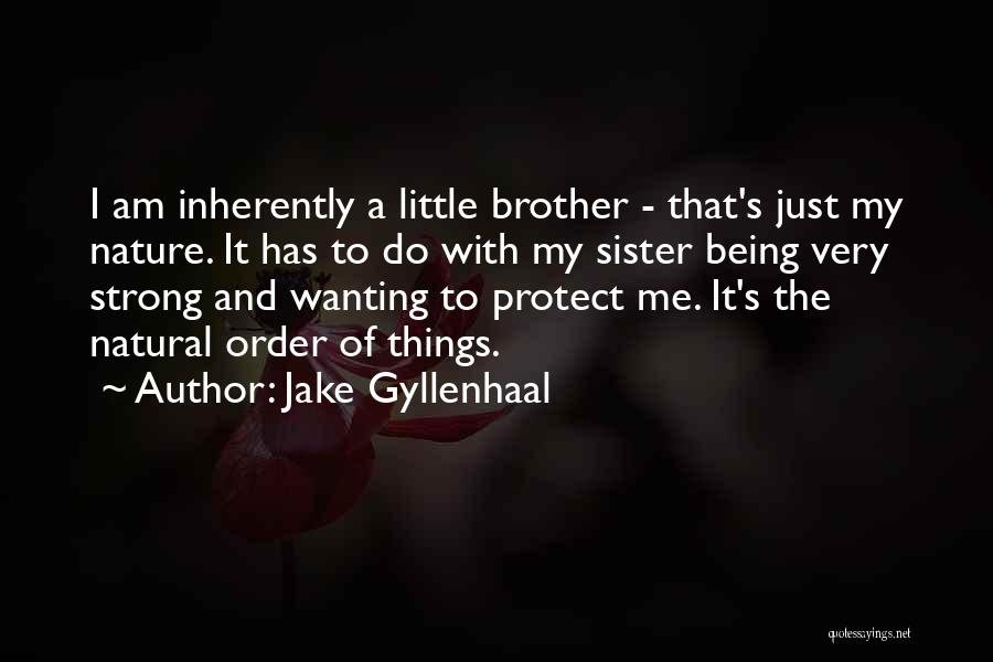 Jake Gyllenhaal Quotes 390463