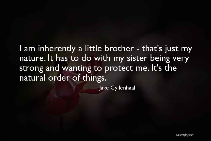 Jake Gyllenhaal Quotes 390463