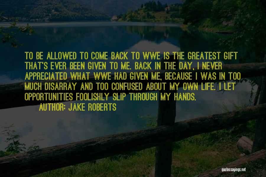 Jake Roberts Quotes 2036611