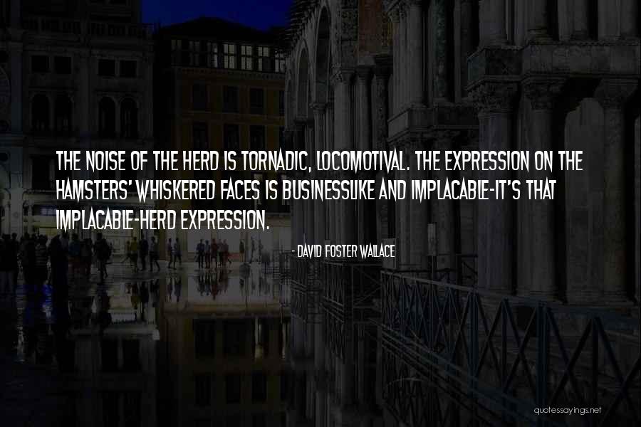 Jake Slater Quotes By David Foster Wallace Jake Slater Quotes By David Foster Wallace