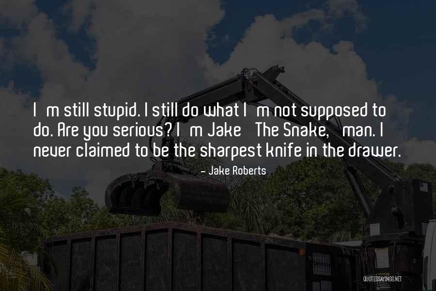 Jake The Snake Quotes By Jake Roberts Jake The Snake Quotes By Jake Roberts