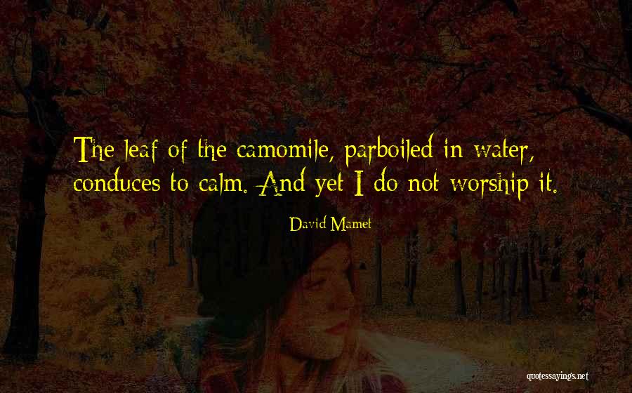 Jakeem Wahliq Quotes By David Mamet Jakeem Wahliq Quotes By David Mamet