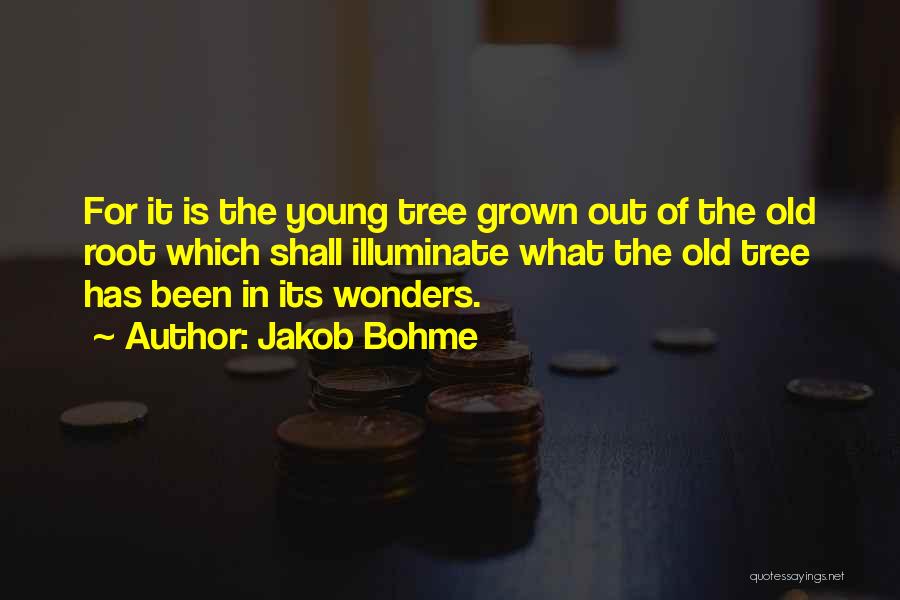 Jakob Bohme Quotes 1717875