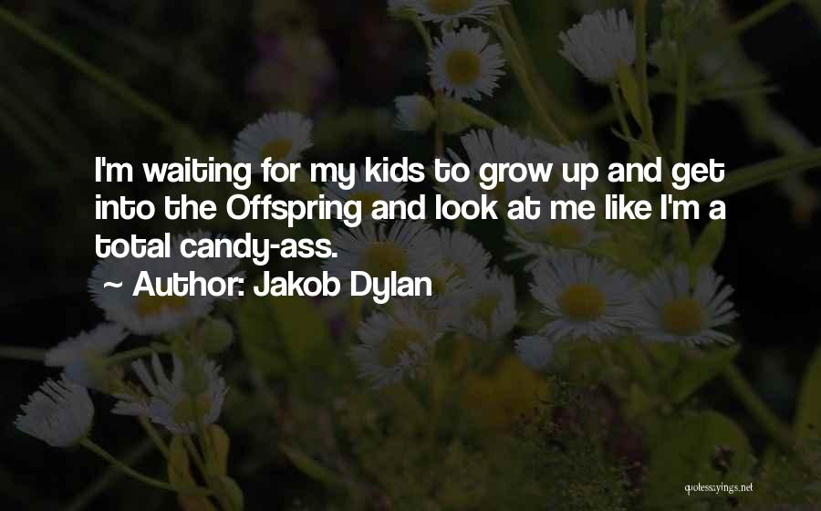 Jakob Dylan Quotes 1651947