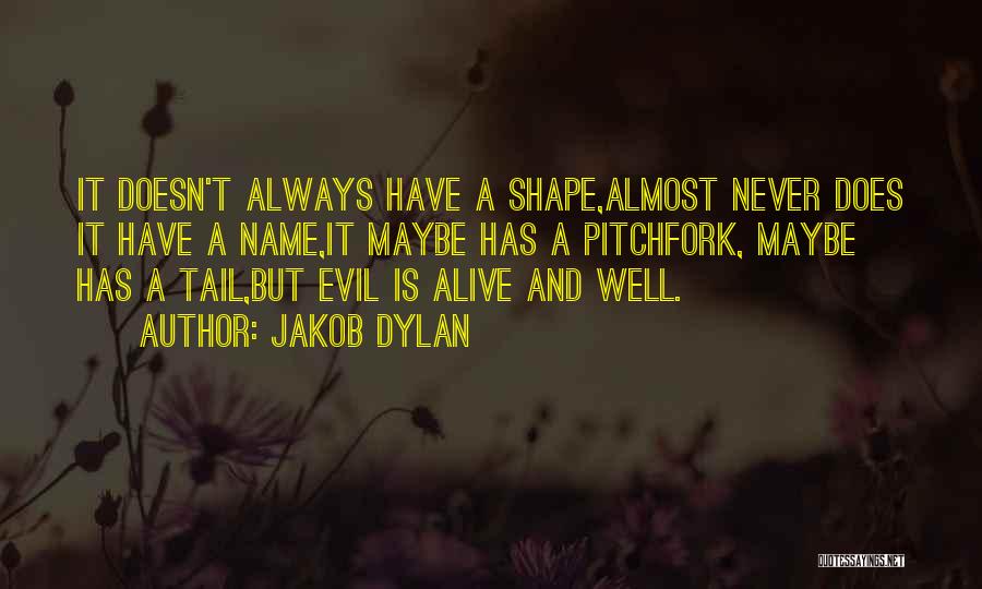 Jakob Dylan Quotes 2271388
