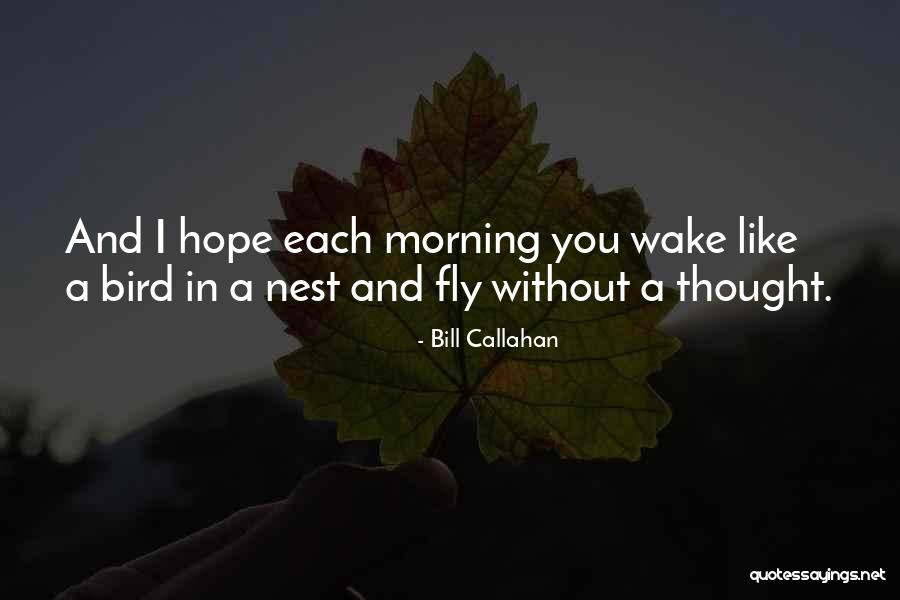 Jaksetic Eye Quotes By Bill Callahan Jaksetic Eye Quotes By Bill Callahan