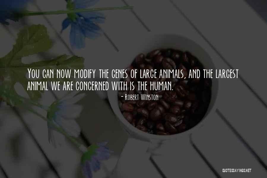 Jalaja Actress Quotes By Robert Winston Jalaja Actress Quotes By Robert Winston
