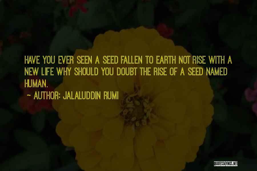 Jalaluddin Quotes By Jalaluddin Rumi