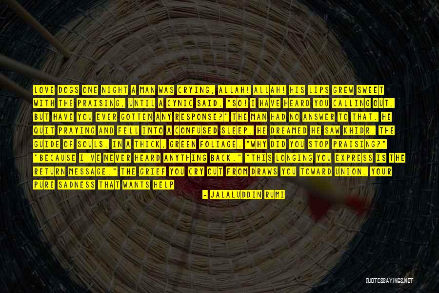 Jalaluddin Rumi Quotes 1067418 Jalaluddin Rumi Quotes 1067418
